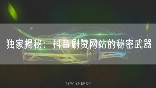 独家揭秘:抖音刷赞网站的秘密武器