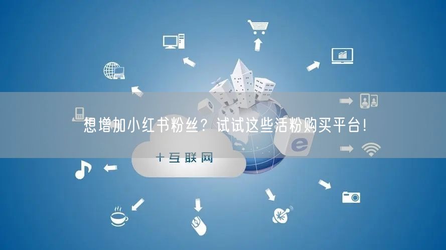 想增加小红书粉丝?试试这些活粉购买平台!