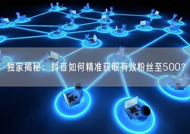 独家揭秘：抖音如何精准获取有效粉丝至500？