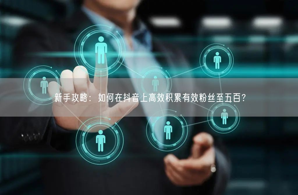 新手攻略：如何在抖音上高效积累有效粉丝至五百？