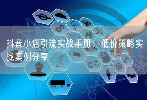 抖音小店引流实战手册:低价策略实战案例分享
